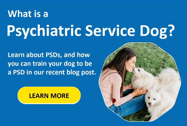 Hva er forskjellige typer oppgaver som tjenestehunder kan utføre?