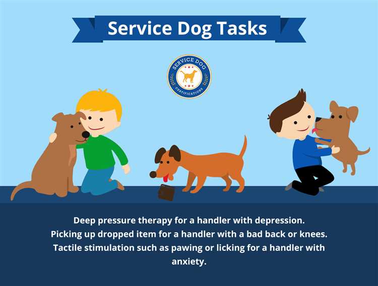 Hvordan hjelper tjenestehunder mennesker med nedsatt funksjonsevne?