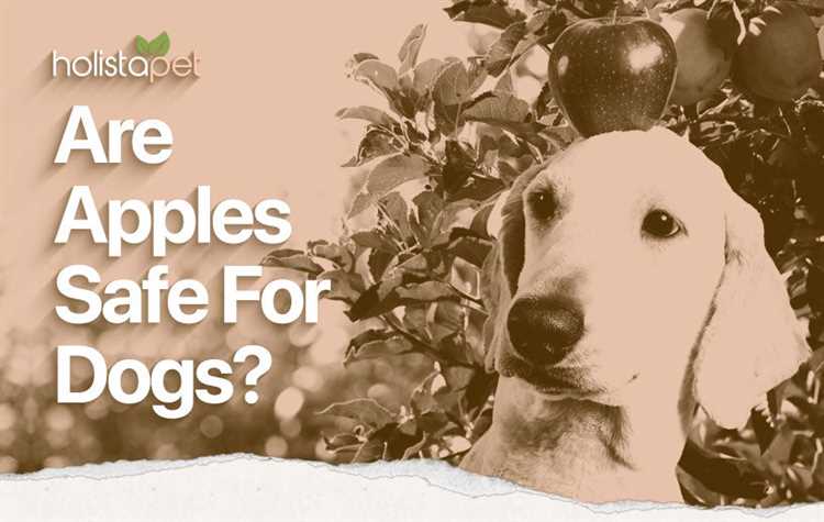 Påvirkning av eplemos på hunders fordøyelsessystem