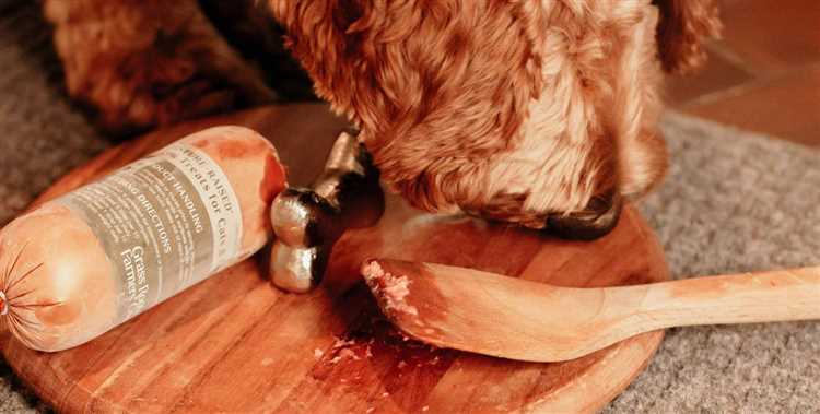Hva er risikoen ved å la hunder spise opptint rått kjøtt?