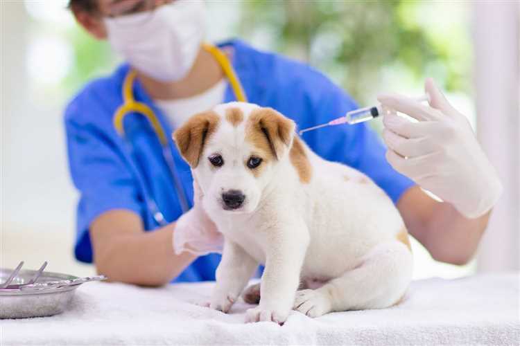 Anbefalt vaksinasjonsplan for hunder