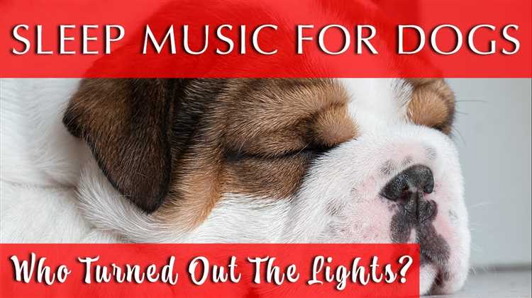 make-432-hz-music-work-for-dogs