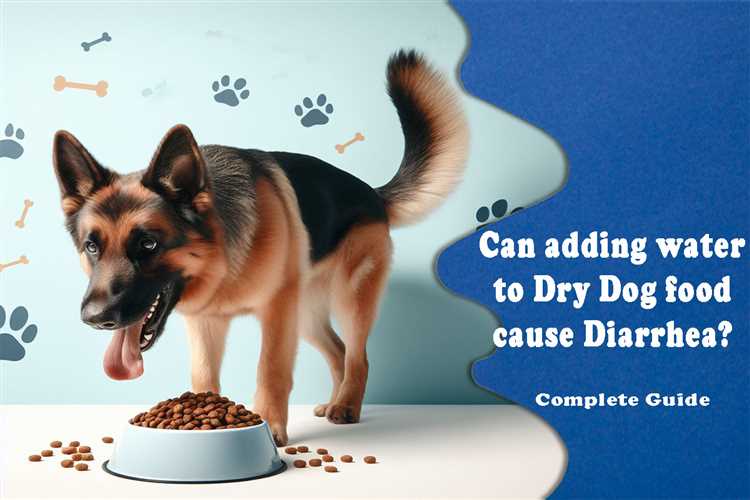 does-canned-dog-food-cause-gas-at-mary-bauer-blog