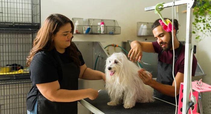 Hundeparker og hospitsenter