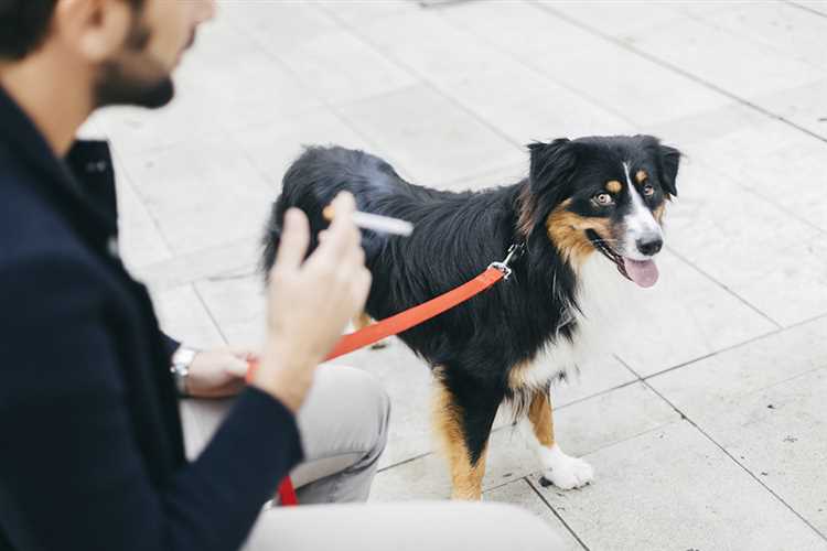 how-secondhand-smoke-affects-dogs