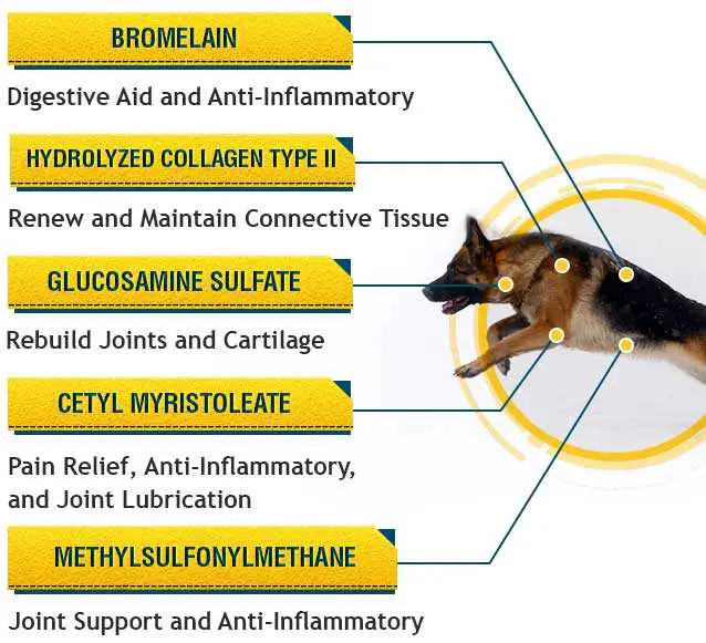 How Much Aspirin Can I Give My 60 Pound Dog - norparson.com