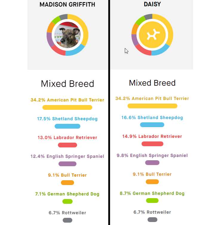 Hva er en dna-test for en valp?