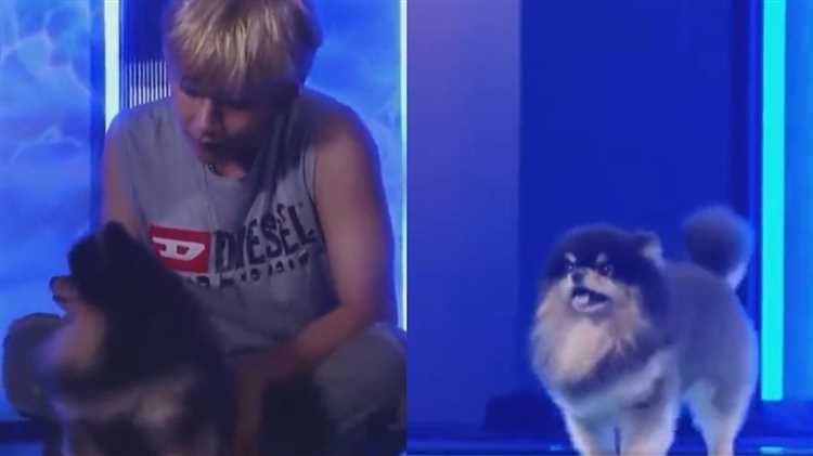 O Cachorro De Yeontan Taehyung?