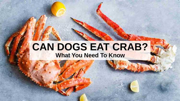 Hvilke symptomer kan oppstå hvis hunden spiser krabbekjøtt?