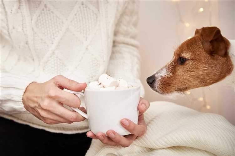 Effekten av koffein på hunder