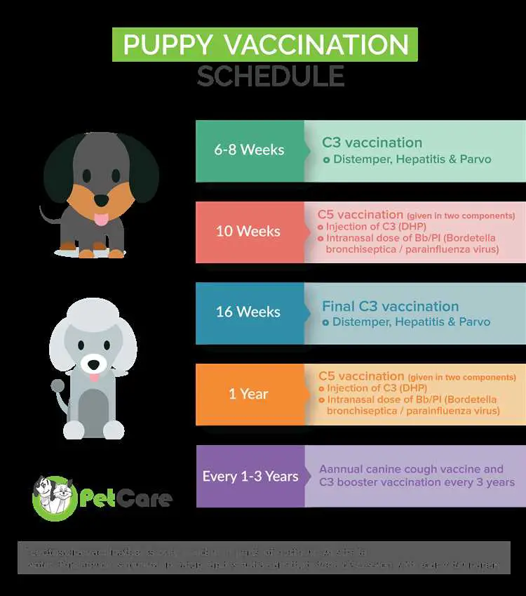 What vaccines do puppies need?