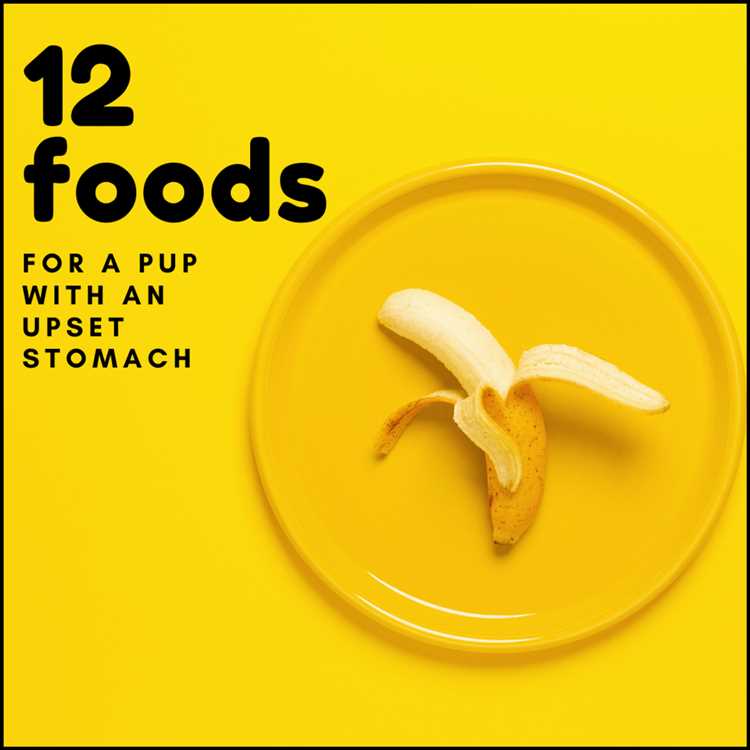 a-banana-can-help-dogs-with-diarrhea