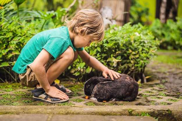 can-you-bury-your-dog-s-faeces-in-your-garden