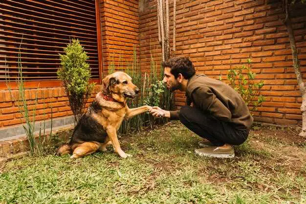 How do you introduce a puppy to a new home