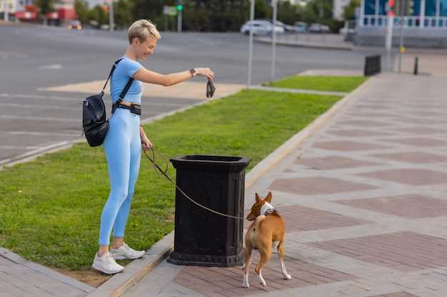 Søppeldag: Riktig håndtering av hundebæsj