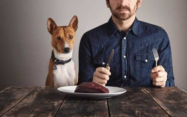 Is it okay for dogs to share bowls