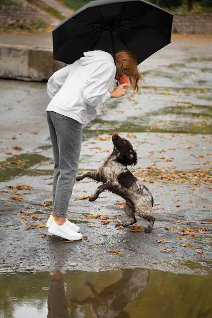 is-rainwater-bad-for-dogs