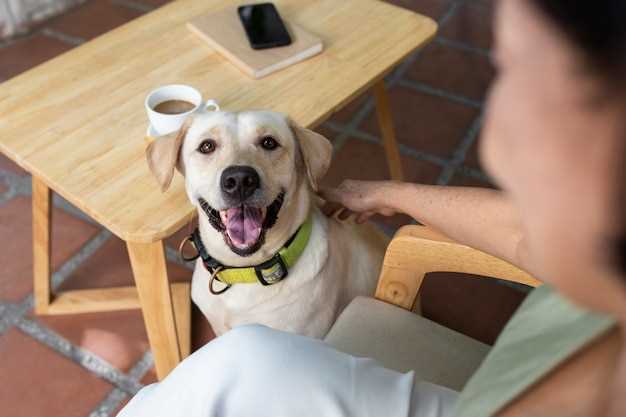 Question does peanut butter relax dogs