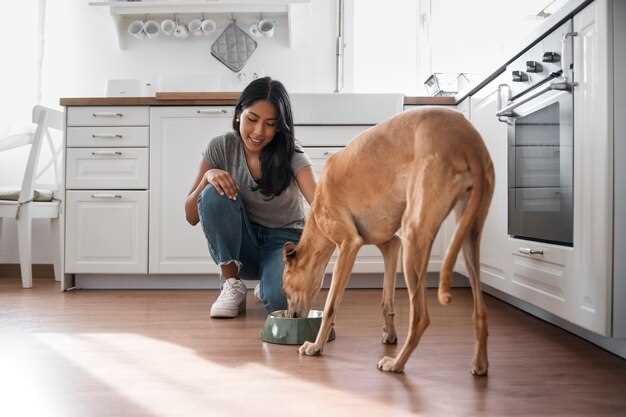 What happens to dogs when they eat peanut butter