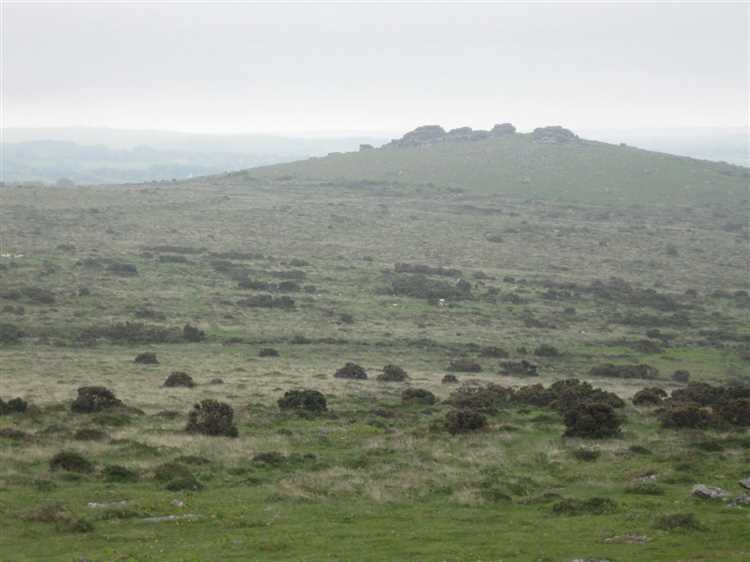 What is the role of the bog in The Hound of the Baskervilles