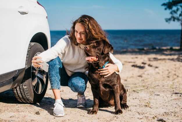 Hunden min forfølger biler: hva er årsaken?