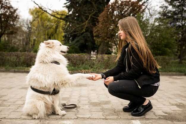 2. Hunden føler seg ubehagelig