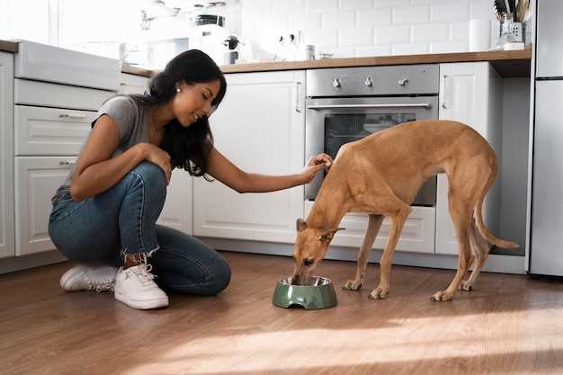 can-my-dog-get-sick-from-eating-moldy-dog-food