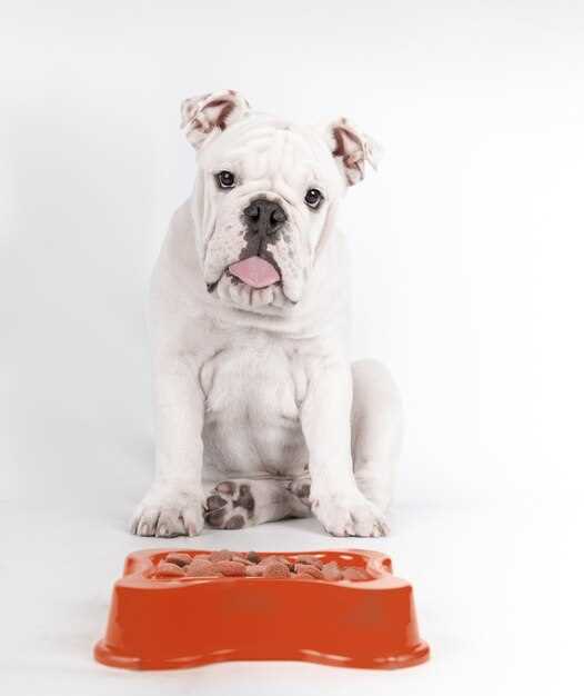 how-much-should-a-3-month-old-pit-bull-weigh