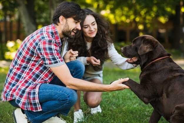 Best answer is a bouvier a good family dog