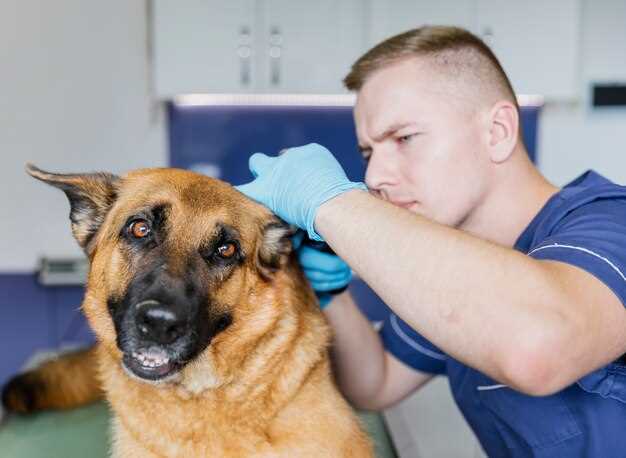 Regelmessig veterinærsjekk