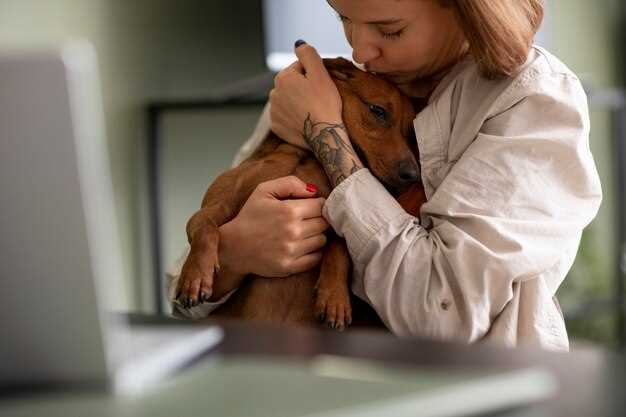 Does Blood Work Detect Cancer In Dogs