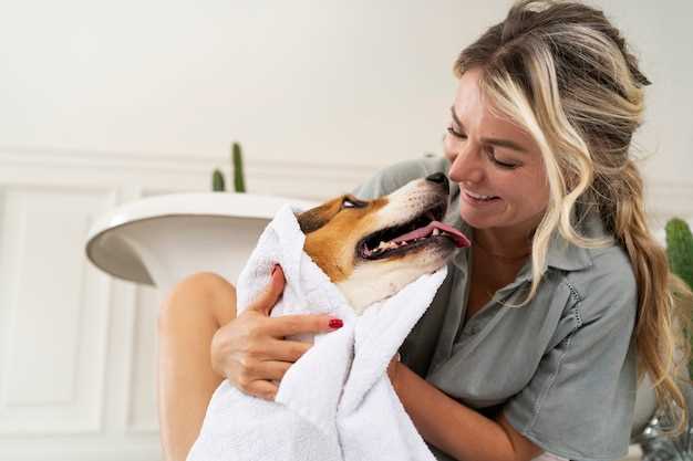 Frequent question can dogs take a bath when having menstruation