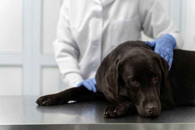 How is a biopsy performed on a dog