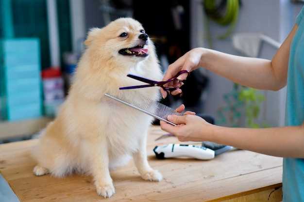 How much does it cost to get a dog groomed at petco