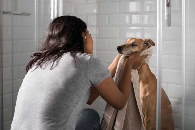 Fordelene med å ha en følelsesmessig støttehund