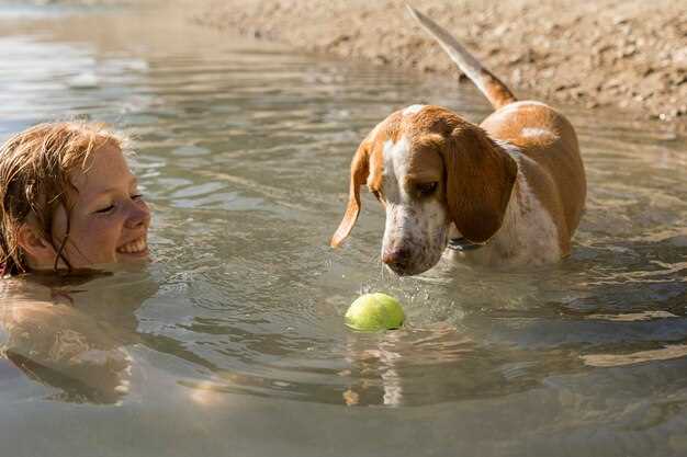 Question do dogs get tired of water