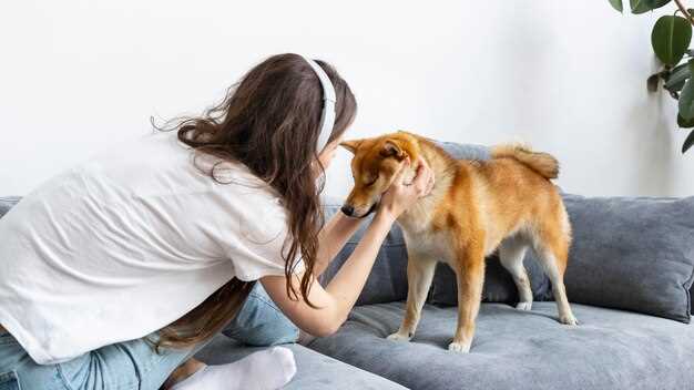 Luktens betydning for hundens atferd