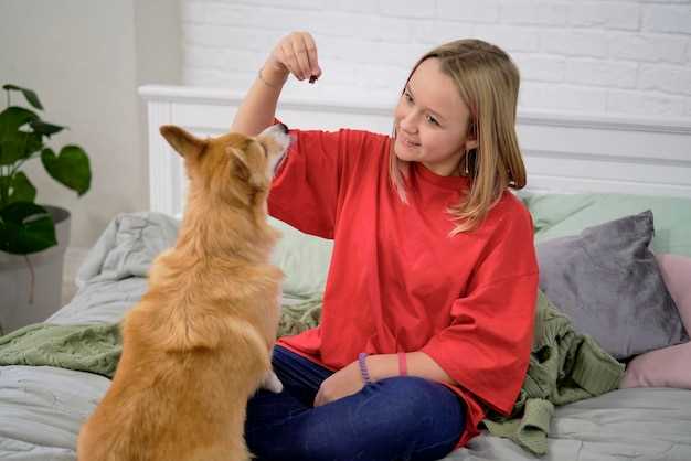 Sunn ernæring for hunden din