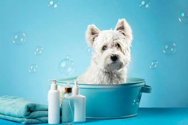 Best answer what is the most gentle dog shampoo