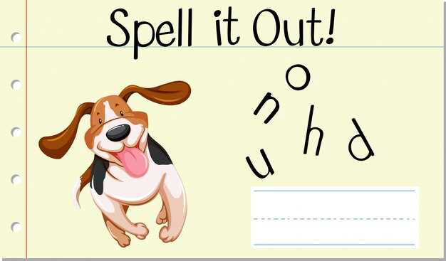 Can dogs learn your name