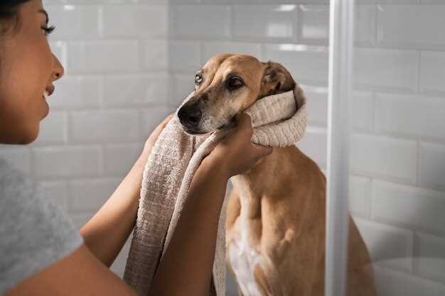 Can i bathe my dog after giving birth