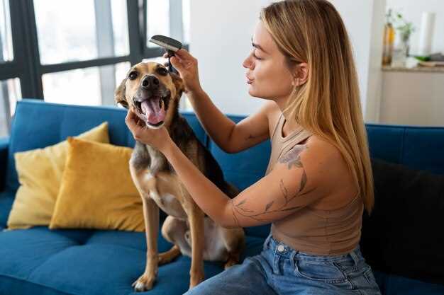 Does desexing a female dog stop aggression