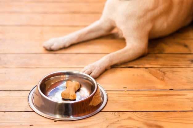 Er hermetisk laks en næringsrik mat for hunder?
