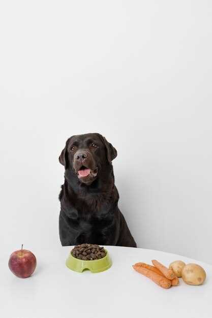 What happens if a dog eats fruit