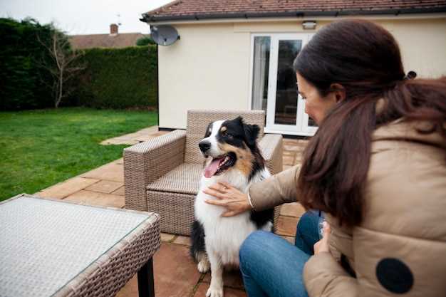 Alternative måter å få seg en hund på