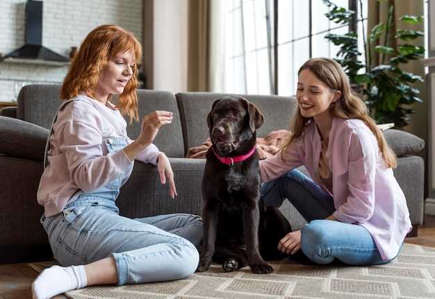 At what age do puppies bond with humans