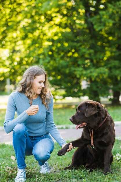 Hvordan velge riktig frekvens for hundepassering?