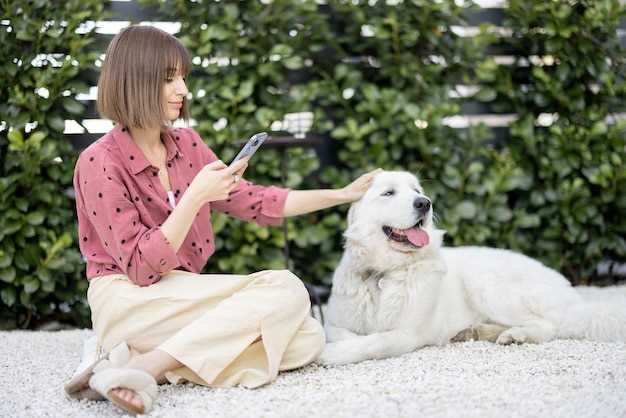 Hva er optimalt antall besøk fra en hundepasser?