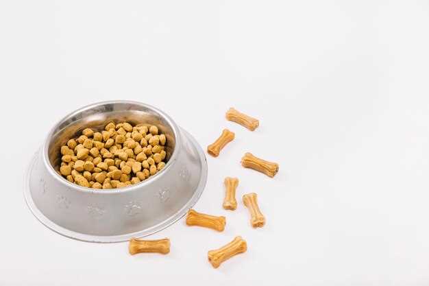 Can maggots grow in dog food