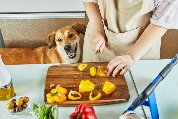 Quick answer is it ok to feed dogs cooked chicken